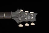 PRS SE PAUL'S GUITAR Electric Guitar with Gig Bag, Teal Black - PG2FXRXN1TK - 115983::TK