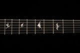 PRS SE CHLEO Electric Guitar with Gig Bag, Mantis Burst - HL4FBEXB1H2 - 115397::H2