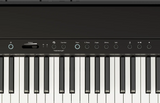 Roland FP-40 88-Key Digital Piano with Piano Sphere - Black