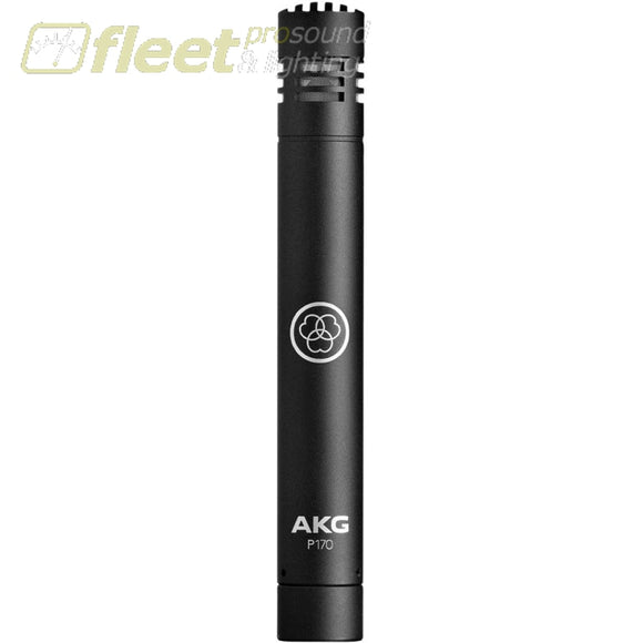 AKG P170-Mic Small Diaphragm Microphone SMALL DIAPHRAGM MICS