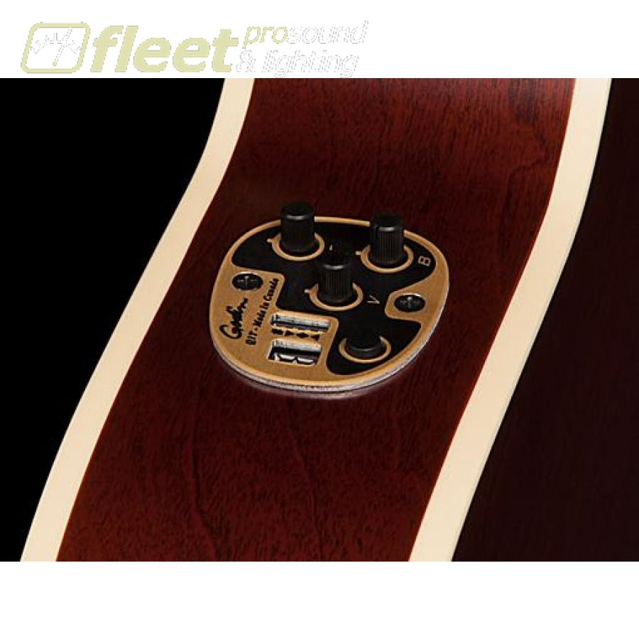 La Patrie Motif / QIT Parlour Classical Guitar Semi Gloss 046539